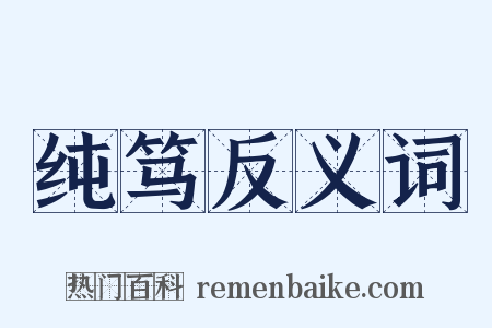 纯笃反义词是什么意思的图片